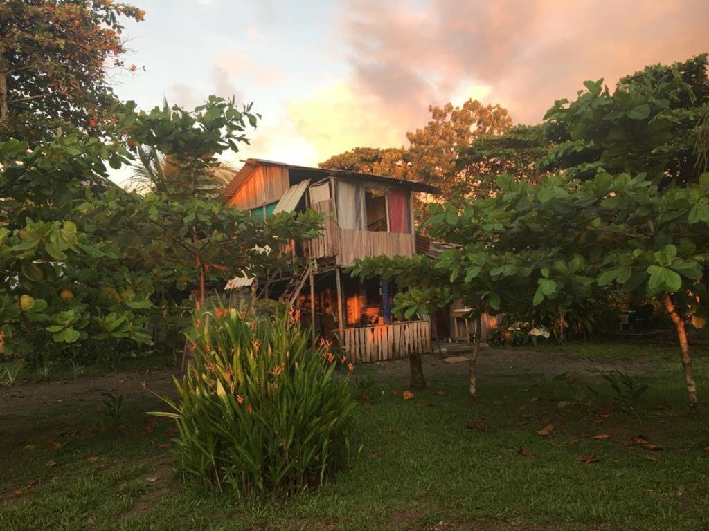 Hotel Miguel Surf Camp à Quepos Extérieur photo