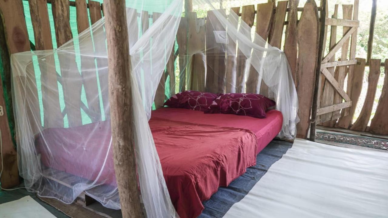 Hotel Miguel Surf Camp à Quepos Extérieur photo