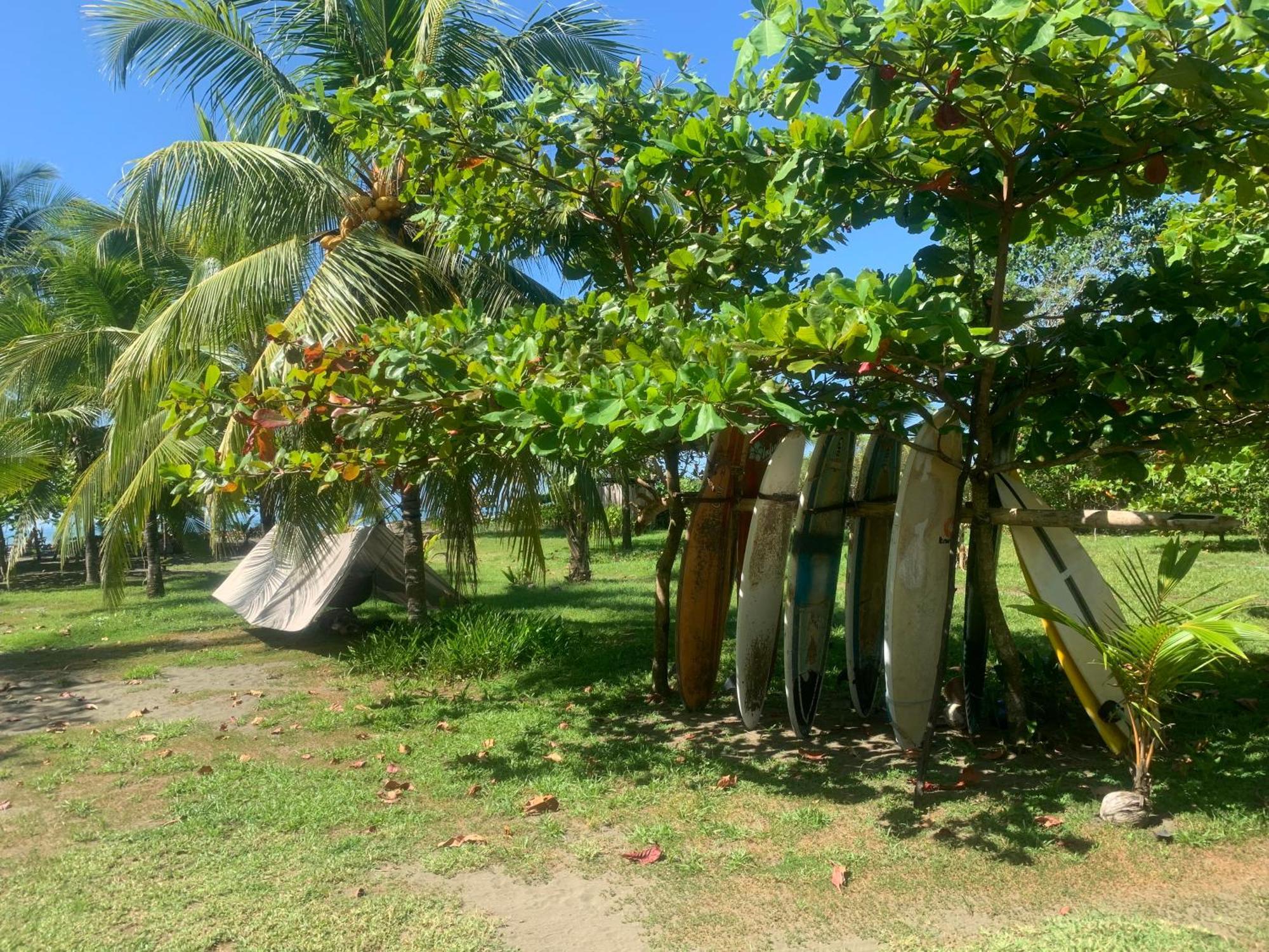 Hotel Miguel Surf Camp à Quepos Extérieur photo